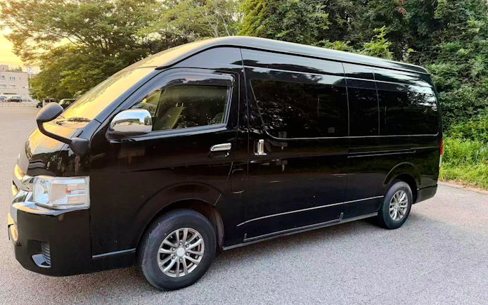 Narita International Airport to Tokyo Private One-Way Transfer
