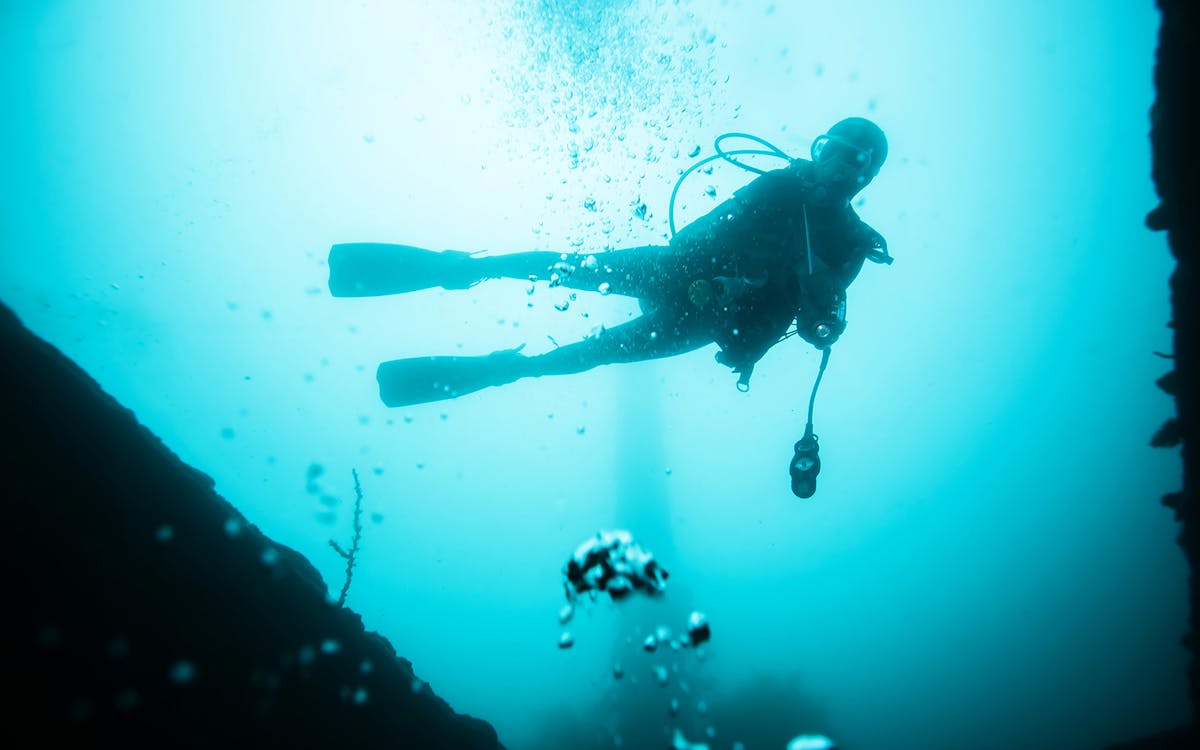 diving experience in the mediterranean sea with transfers-7 diving experience in the mediterranean sea with transfers-7
