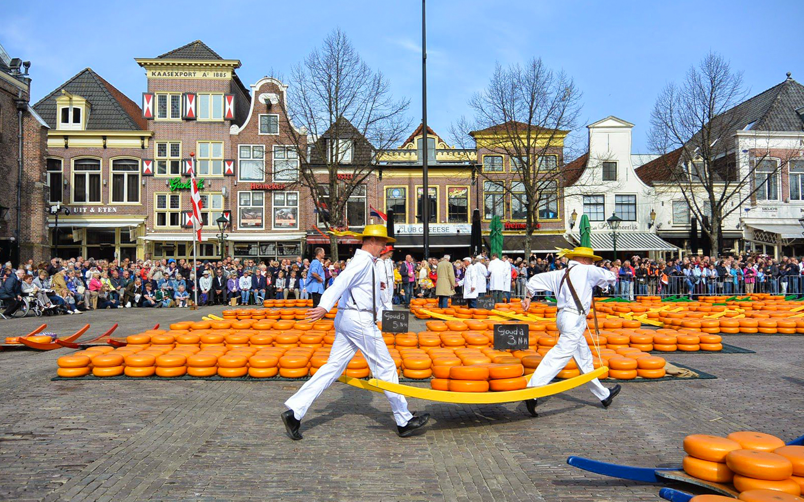 Cheese carriers at Alkmaar Cheese Market, Netherlands, with Gouda wheels and historic buildings.