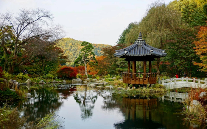 Pagoda and bridge in the Imperial Palace East Gardens, Tokyo, surrounded by autumn foliage.
