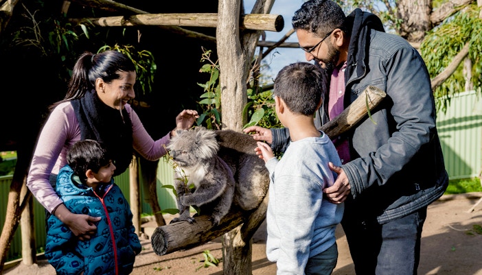 Family petting a Koala at Ballarat Wildlife Park in Melbourne