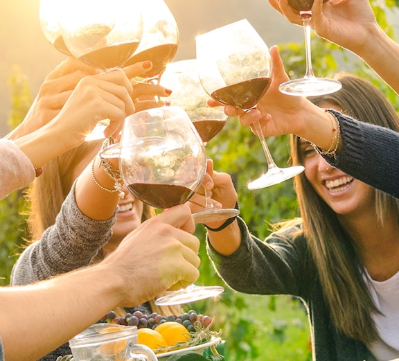 Group toasting with wine in Yarra Valley vineyard, Melbourne tour.