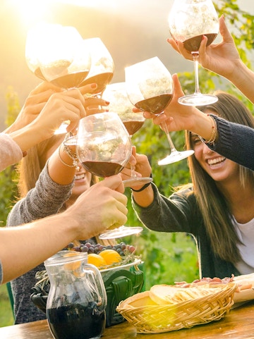 Group toasting with wine in Yarra Valley vineyard, Melbourne tour.