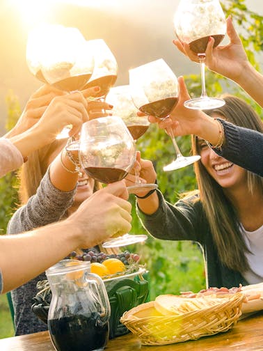 Melbourne To Yarra Valley Tours