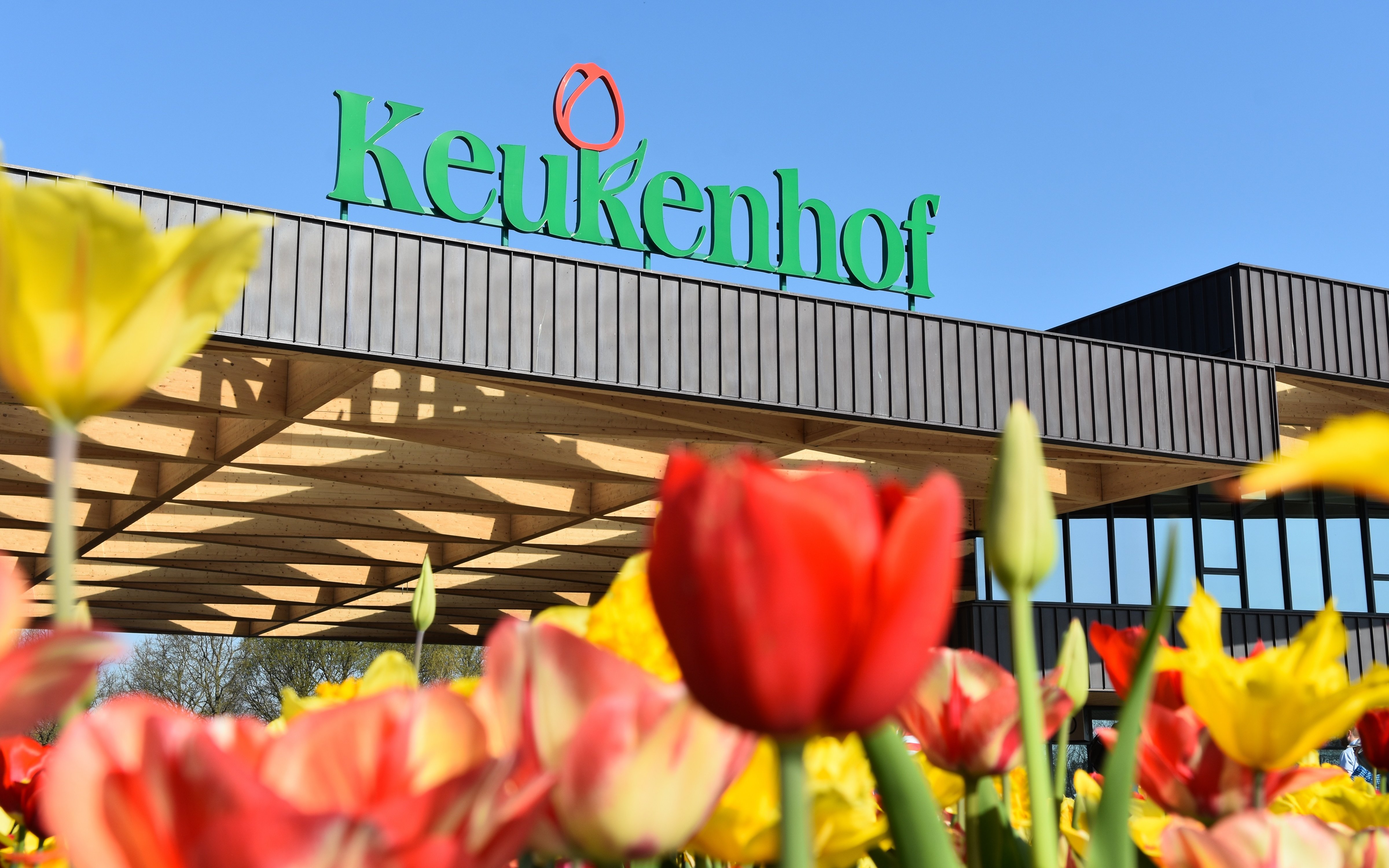 Keukenhof Gardens entrance with tulips in Amsterdam.
