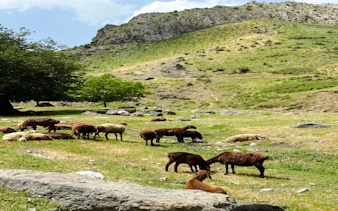 from samarkand: private mountain village glamping overnight tour-5