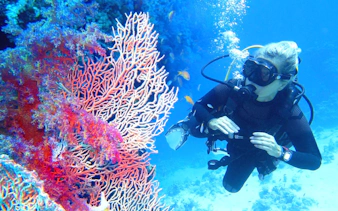 Scuba diver exploring vibrant coral reef in the Red Sea, Hurghada.