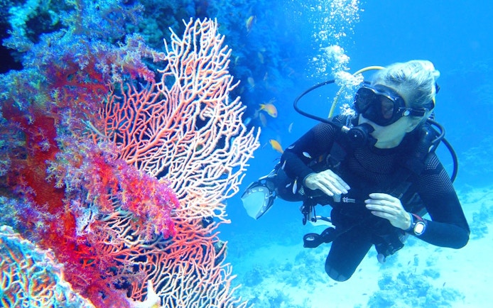 Scuba diver exploring vibrant coral reef in the Red Sea, Hurghada.
