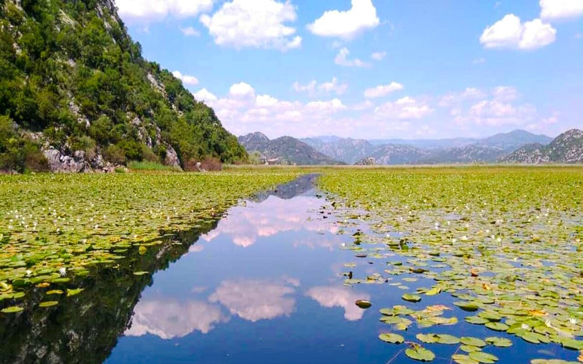 virpazar: skadar lake self-guided kayak rental-4