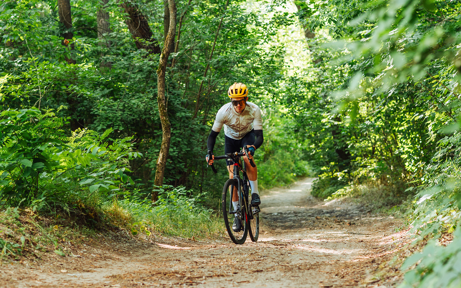 Cyclists navigating forest trails in Otway, Australia, during a mountain biking tour.