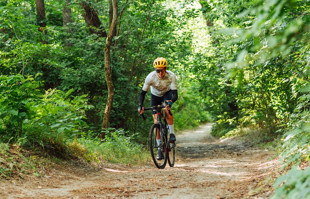 Cyclists navigating forest trails in Otway, Australia, during a mountain biking tour.