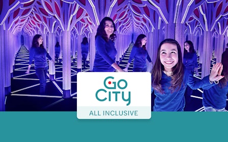 Go City Chicago All-Inclusive Pass: Choose from 39 Attractions