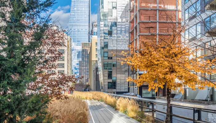 High Line park walkway with city skyline in New York City.