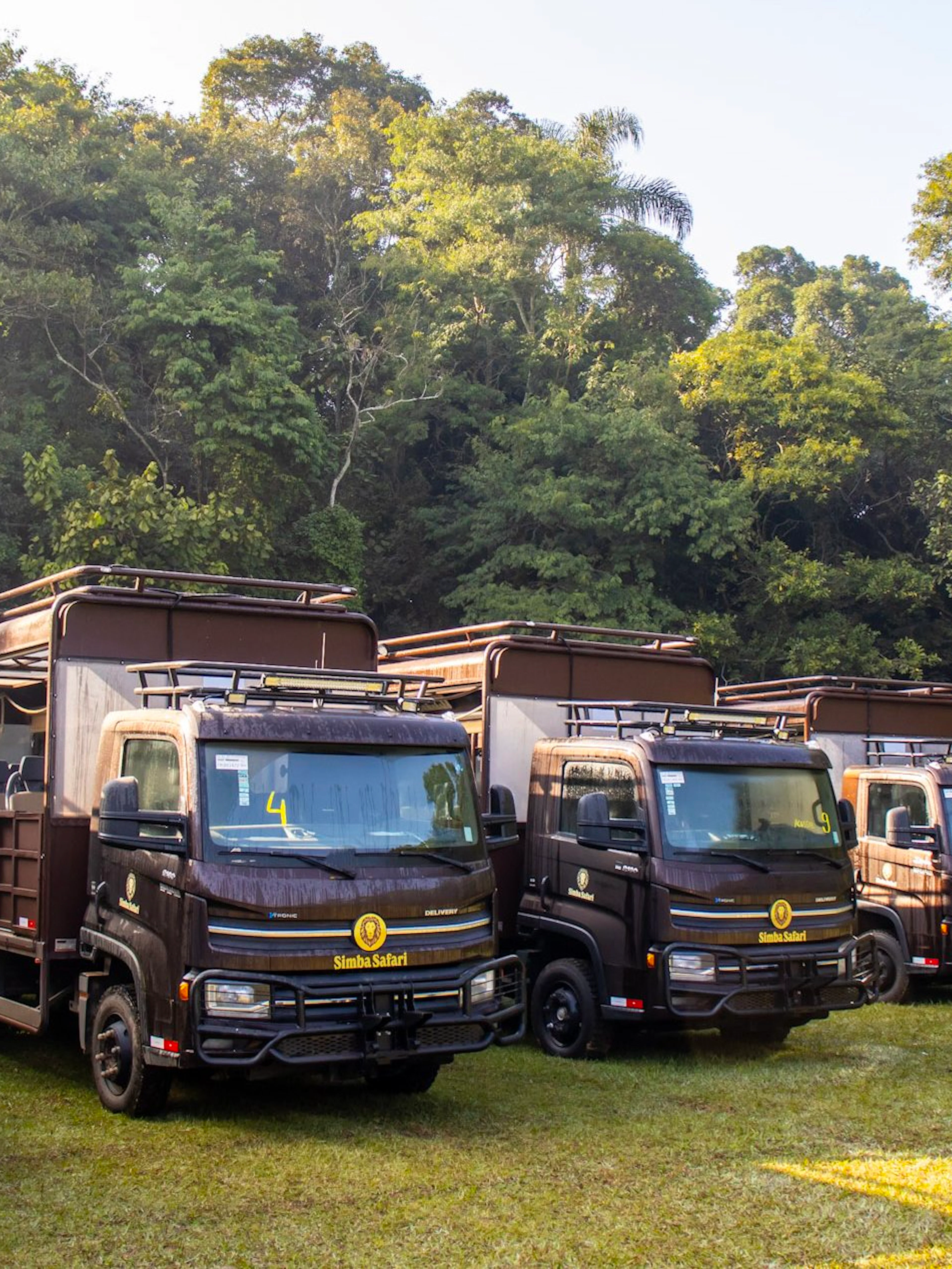Safari vehicles lined up at São Paulo Zoo for Simba Safari tour.