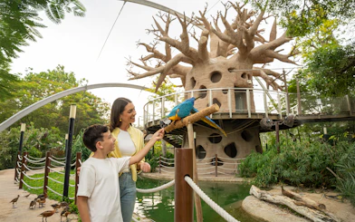 Feeding a parrot at Dubai Safari Park near a treehouse structure.