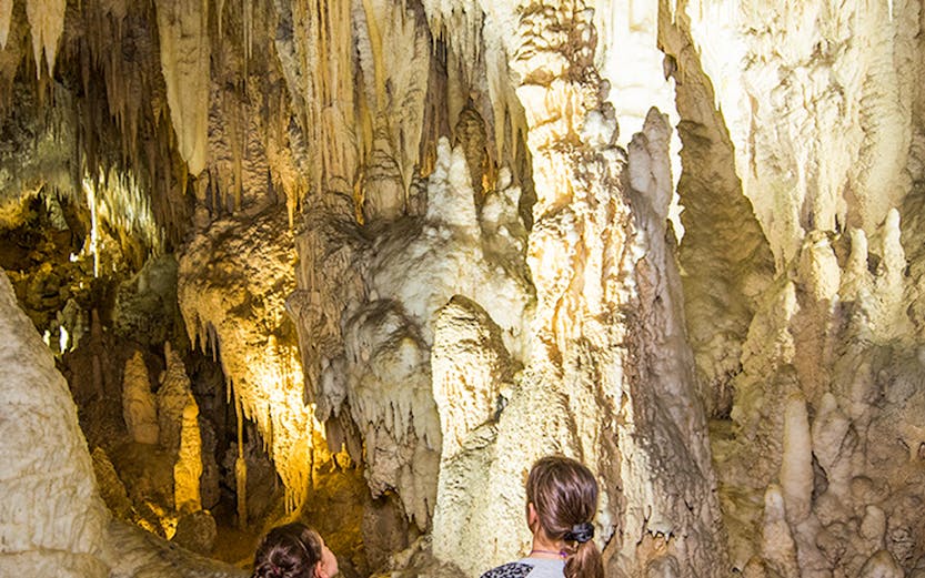 Children observing stalactites and stalagmites inside Aranui Cave, New Zealand.