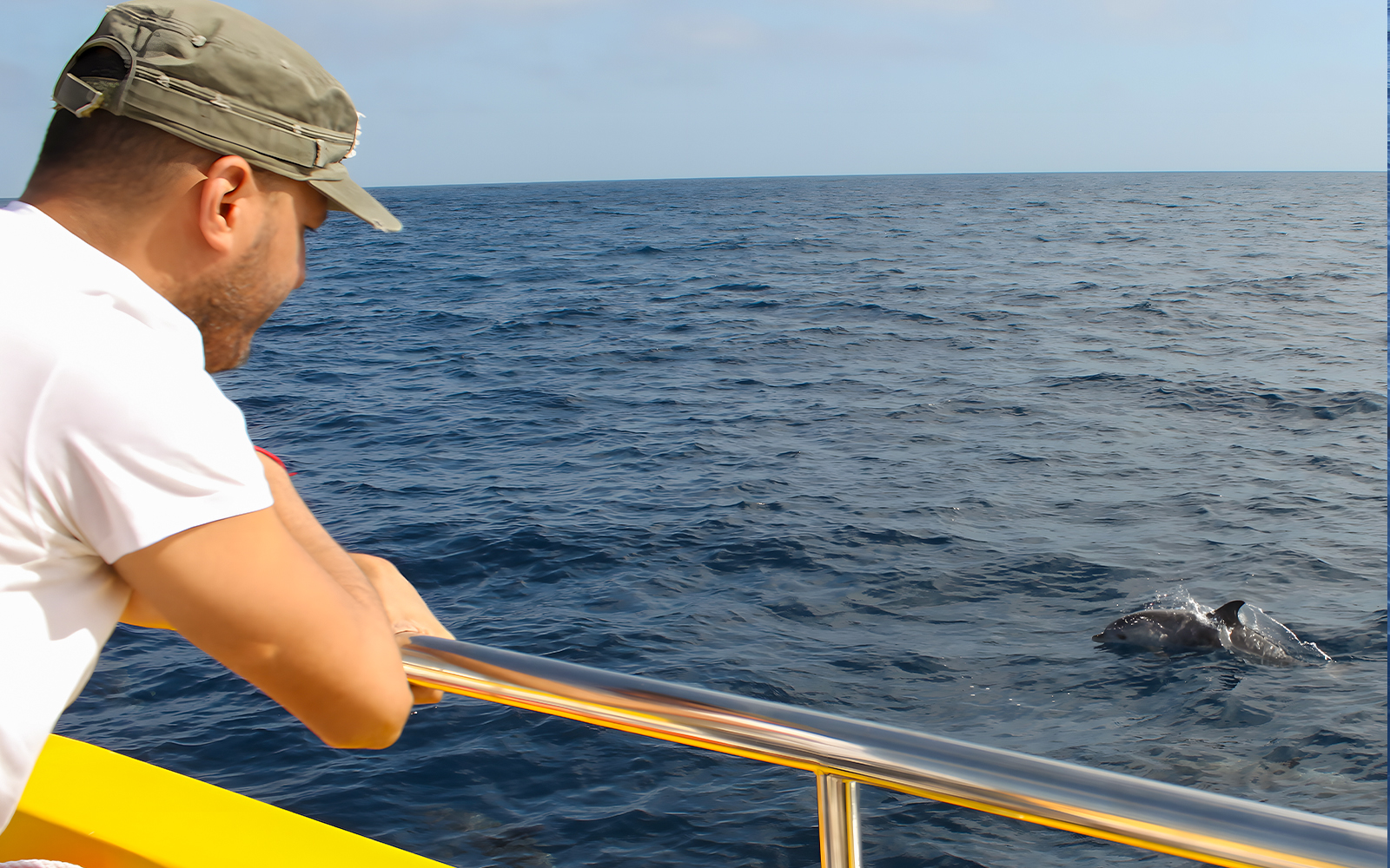 Tourist observing dolphins from a mini speedboat on the ocean.