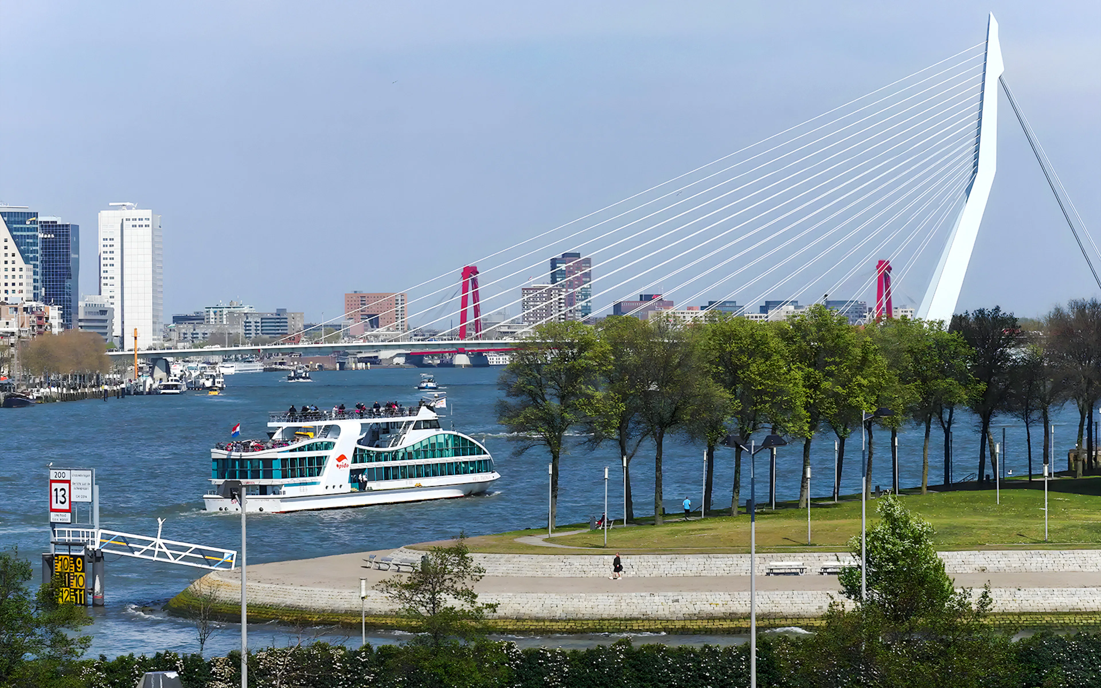 Harbor cruise boat on Rotterdam's river with Erasmus Bridge in the background.