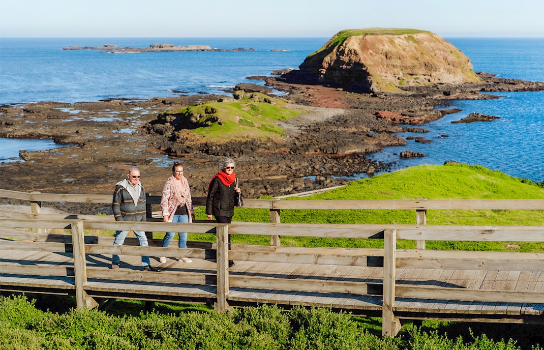 Guided tours