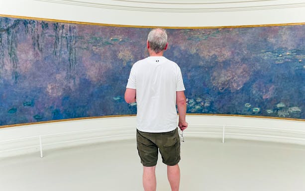 Man viewing Monet's Water Lilies at Orangerie Museum, Paris.