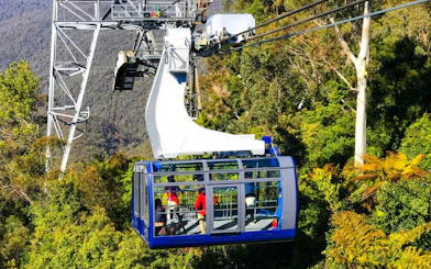 Cable car over Blue Mountains forest on Half Day Tour.