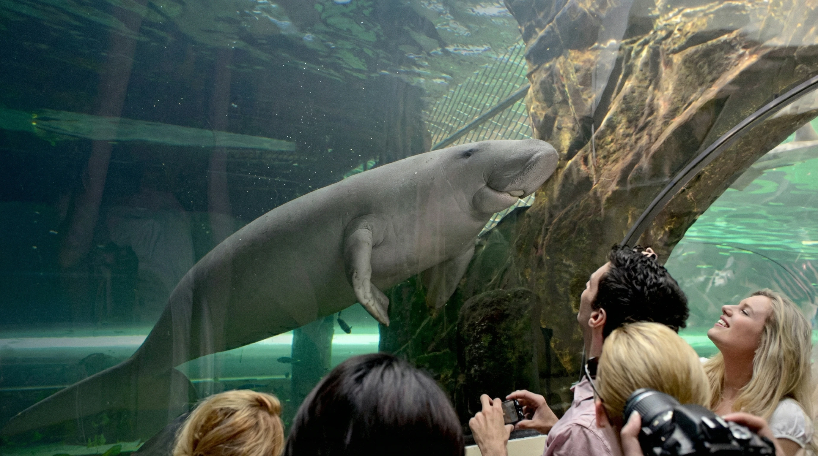 SEA LIFE Sydney Aquarium shark valley