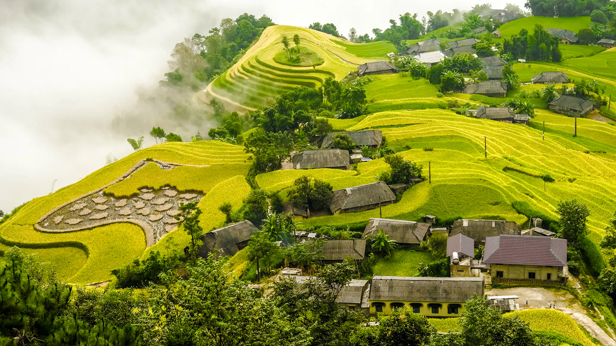 Terraced rice fields and village homes in Hoang Su Phi, Ha Giang.