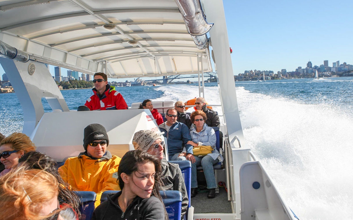 Tourists on a whale watching cruise near Sydney Harbour.