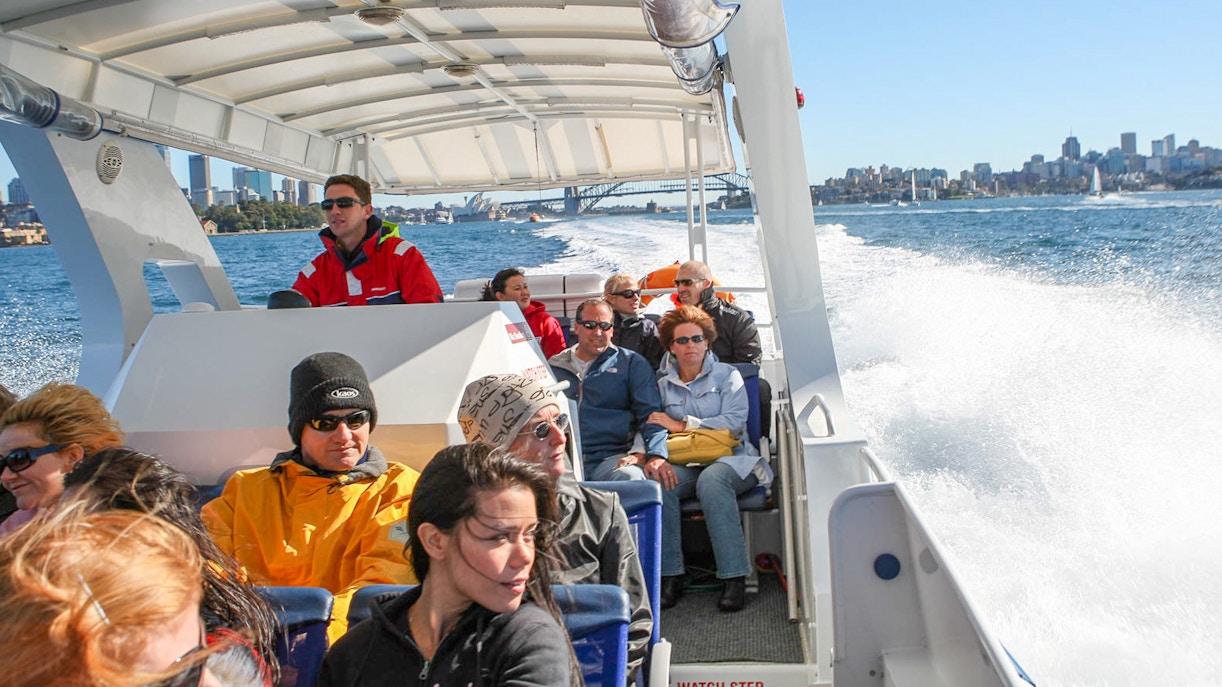 Tourists on a whale watching cruise near Sydney Harbour.
