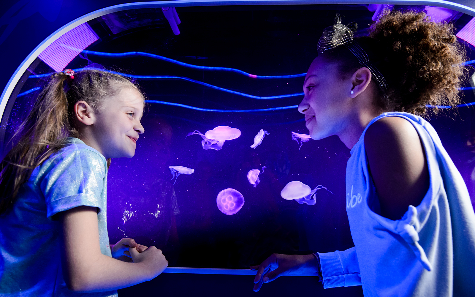 Children observing jellyfish at SEA LIFE London.