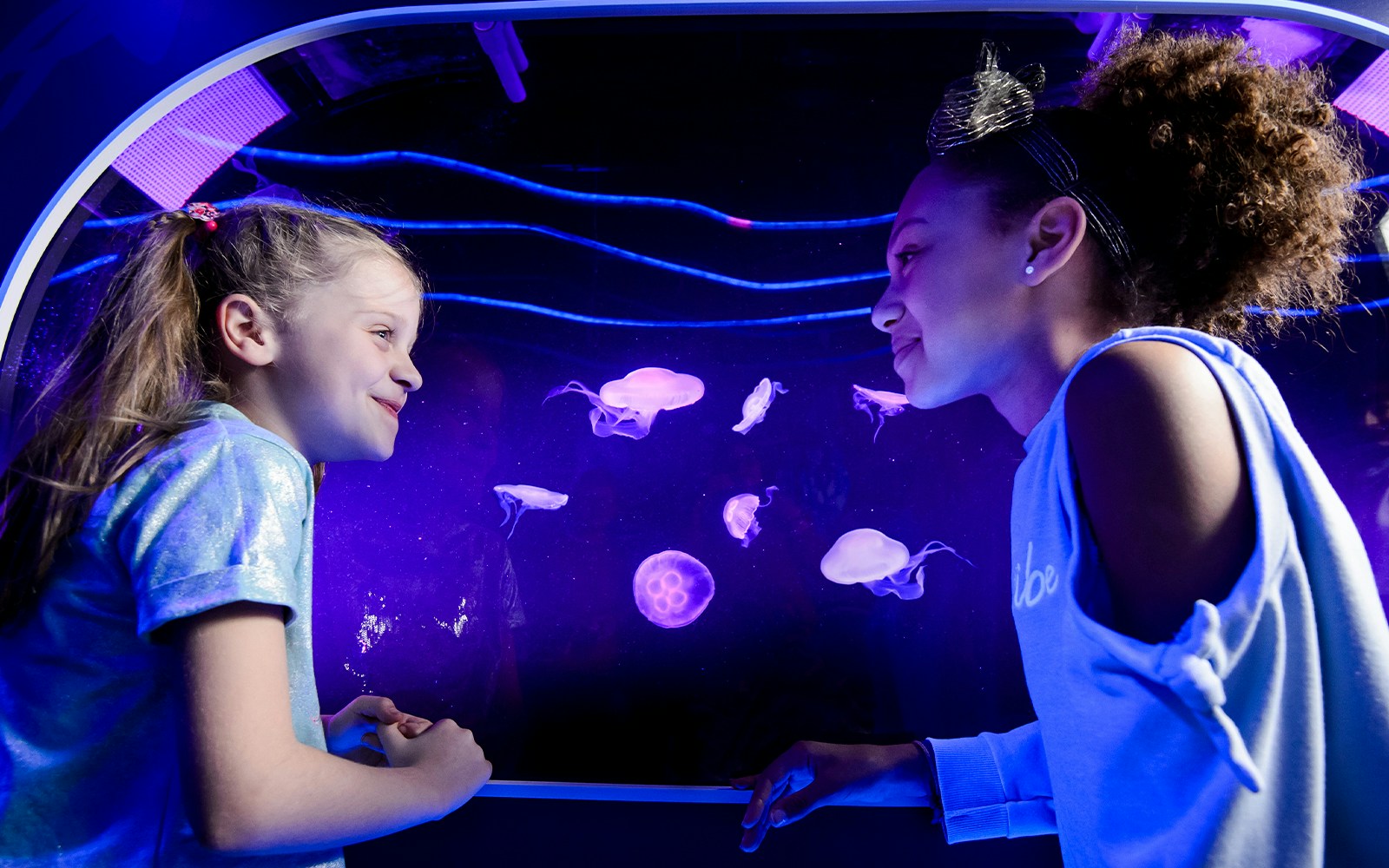 Children observing jellyfish at SEA LIFE London.