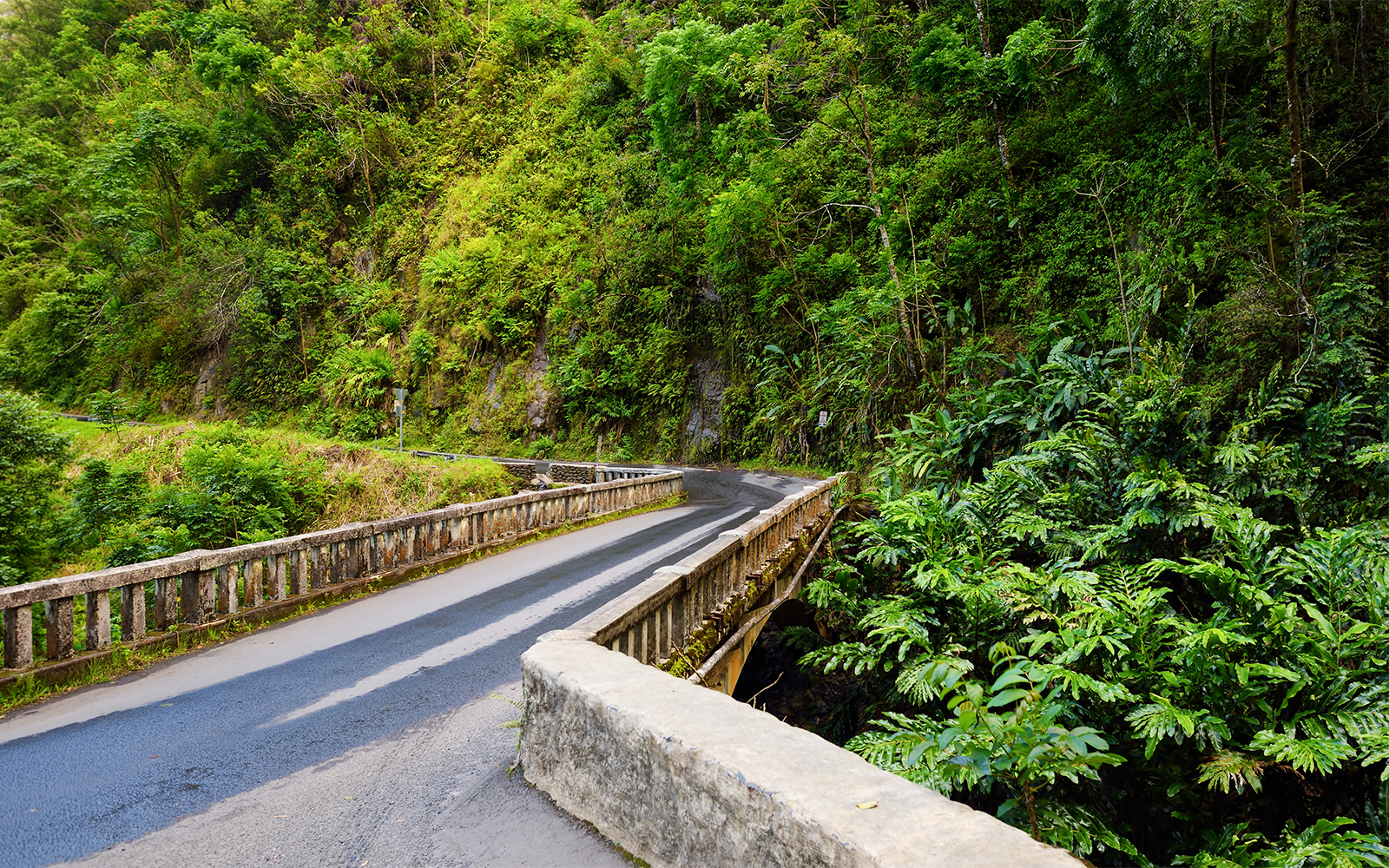 Winding road through lush greenery on the Road to Hana, Maui, Hawaii.