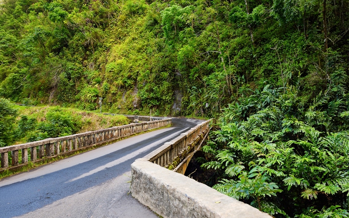 Winding road through lush greenery on the Road to Hana, Maui, Hawaii.