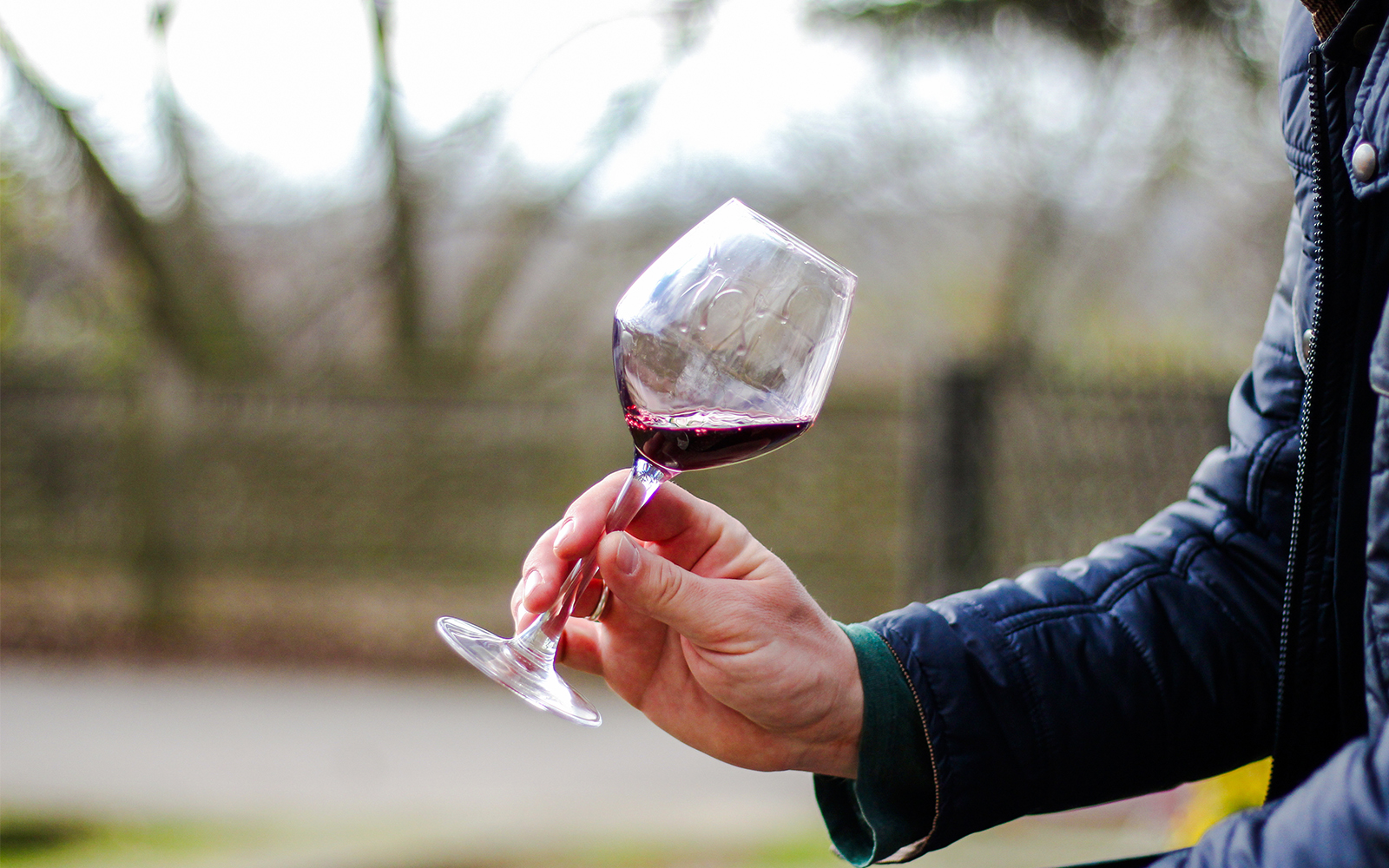 Experiencia de degustación de vinos