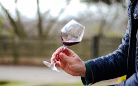 Experiencia de degustación de vinos