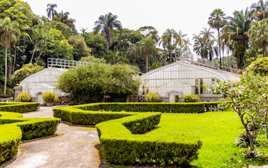 Greenhouses surrounded by lush greenery at Jardim Botânico, São Paulo.