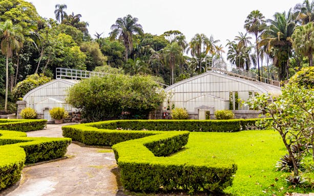 Greenhouses surrounded by lush greenery at Jardim Botânico, São Paulo.