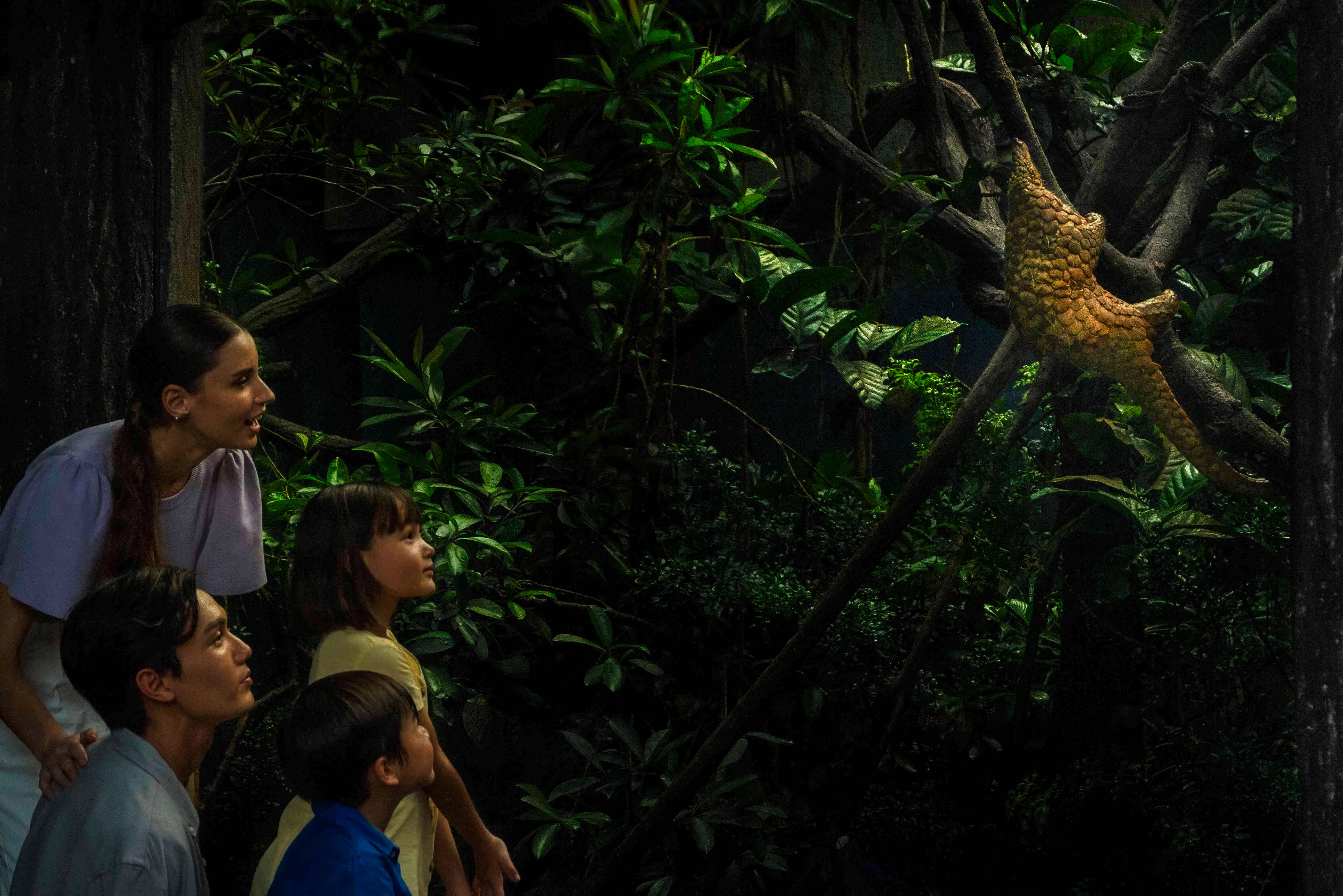 Family observing a pangolin in the lush greenery during a night safari tour in Singapore.