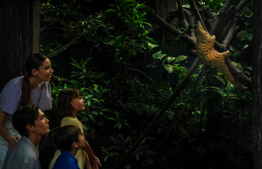 Family observing a pangolin in the lush greenery during a night safari tour in Singapore.