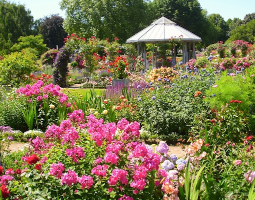 Plant Garden, Frankfurt