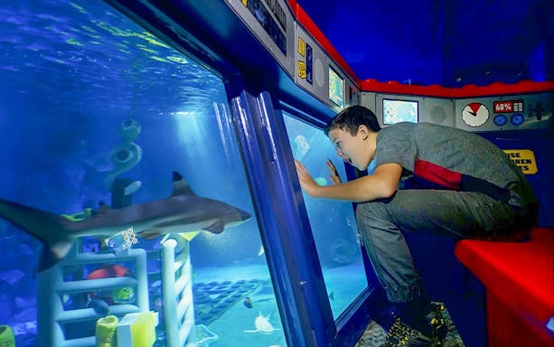 Child observing shark through aquarium window at San Diego attraction.