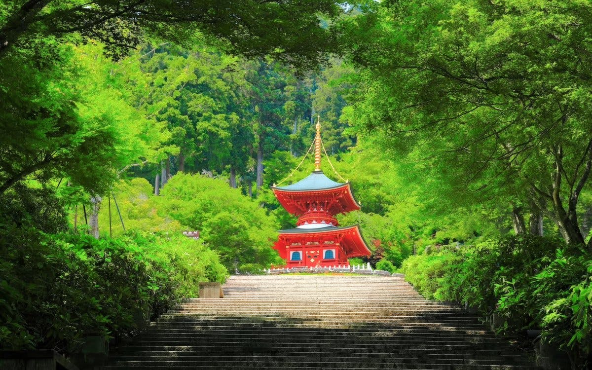 Pagoda surrounded by lush greenery at Katsuo-ji Temple, Osaka.