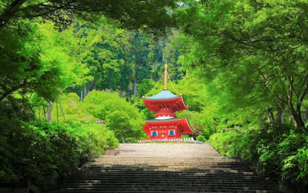 Pagoda surrounded by lush greenery at Katsuo-ji Temple, Osaka.