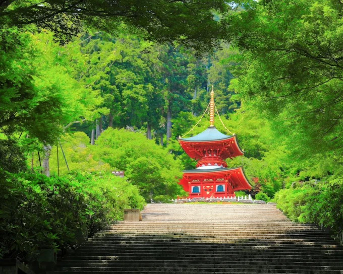 Katsuo-ji Temple Day Tour from Osaka