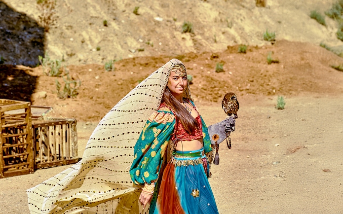 Performer with falcon at Puy du Fou park.