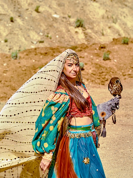 Performer with falcon at Puy du Fou park.