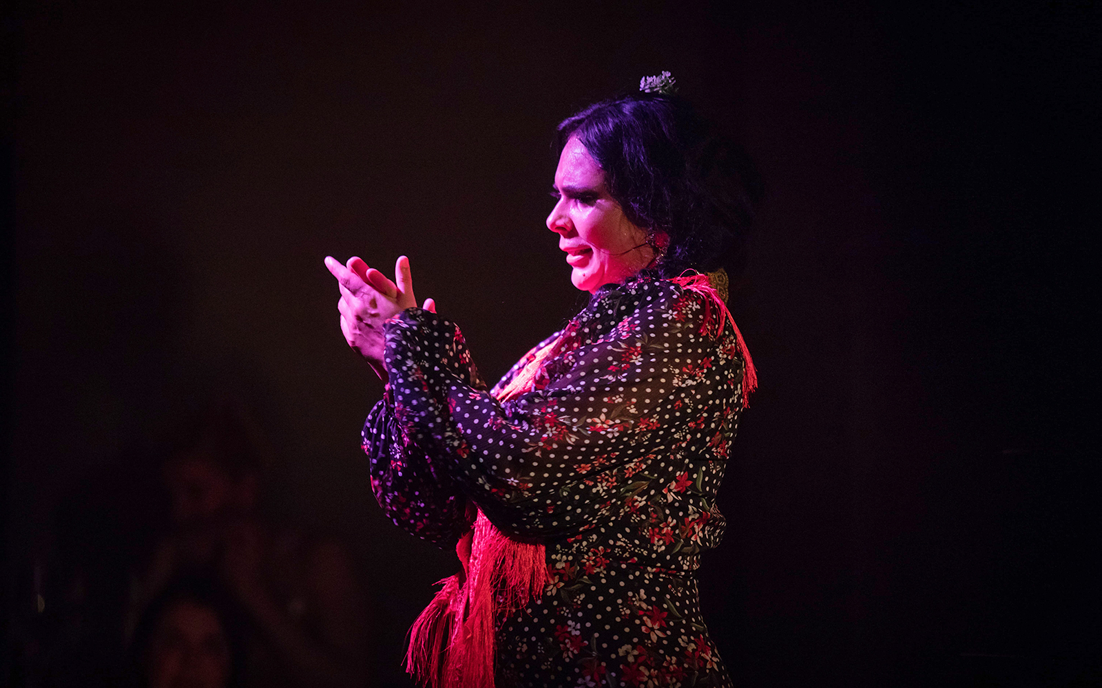 Flamenco woman performer in Madrid