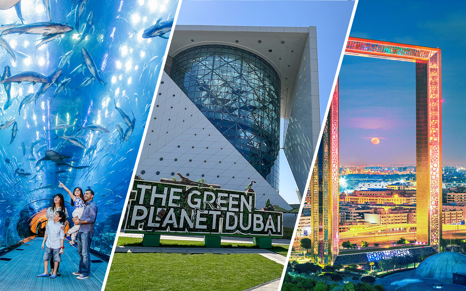 Green Planet Dubai