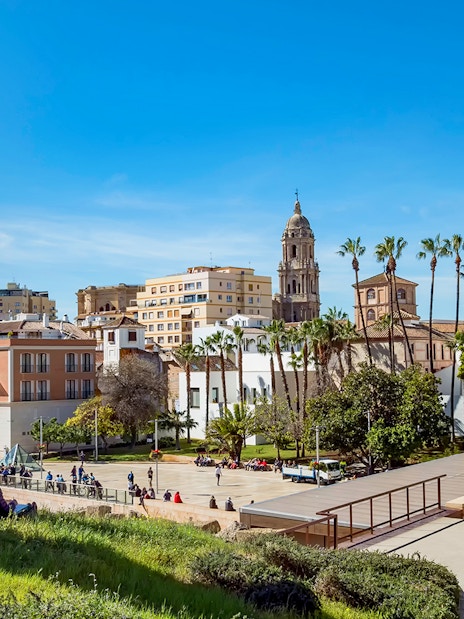 Picasso Museum in Malaga with cityscape and palm trees in the background.