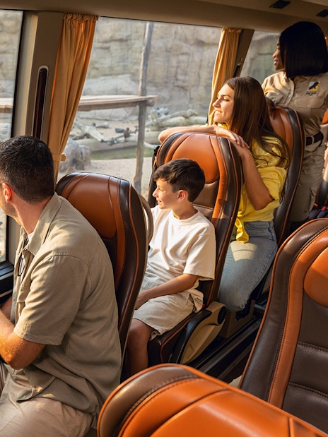 Visitors observing baboons from a safari bus at Dubai Safari Park.